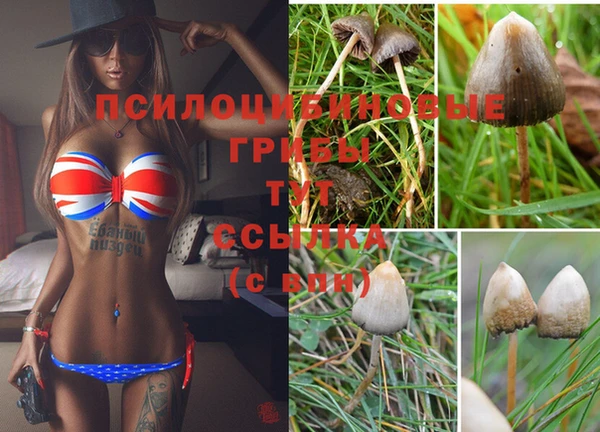 мяу мяу кристалл Баксан
